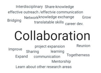 picture1.jpg picture1.jpg